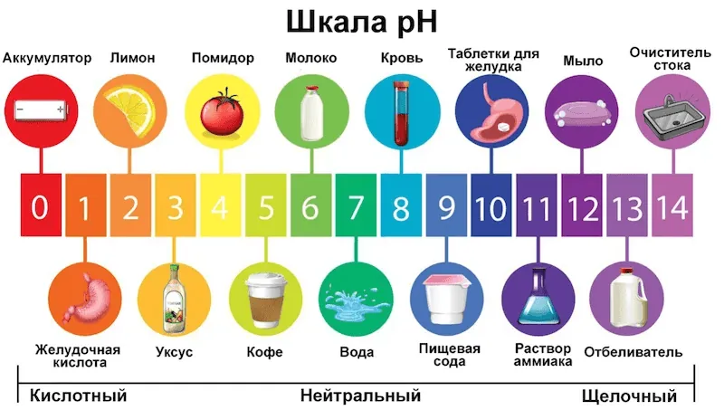 stupnice pH s příklady z běžného života