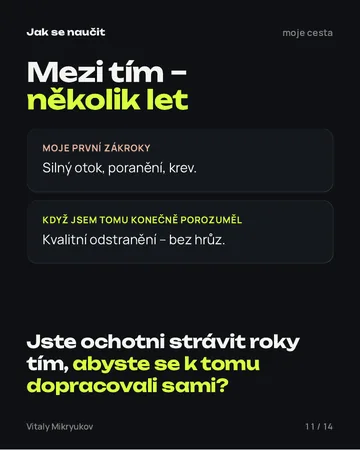 Stránka z PDF