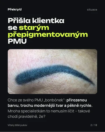 Stránka z PDF