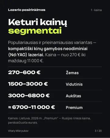PDF puslapis