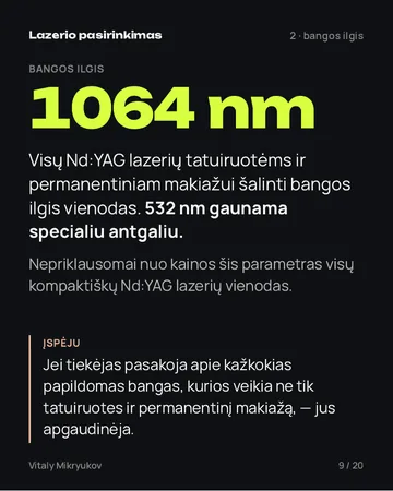 PDF puslapis