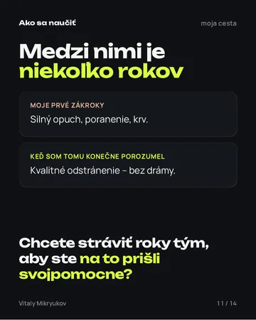 Strana z PDF